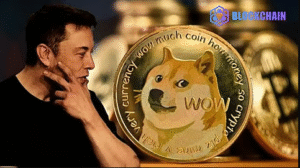 What Does This Mean for Dogecoin Investors
